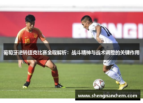 葡萄牙逆转捷克比赛全程解析:战斗精神与战术调整的关键作用