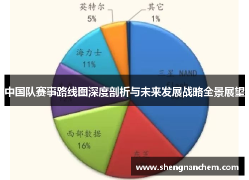 中国队赛事路线图深度剖析与未来发展战略全景展望